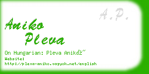 aniko pleva business card